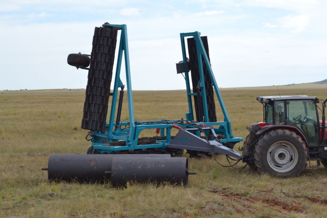 Combination Roller